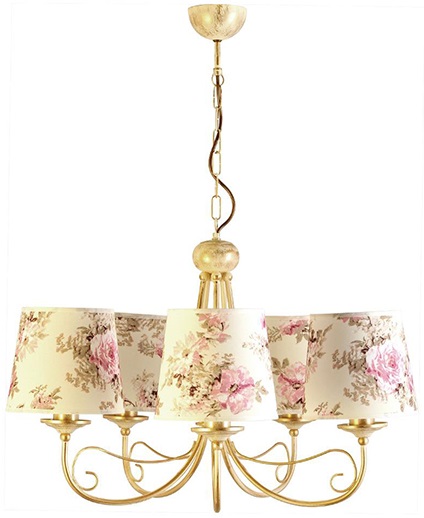 Полилей DENIS 5-ца – изображение-1