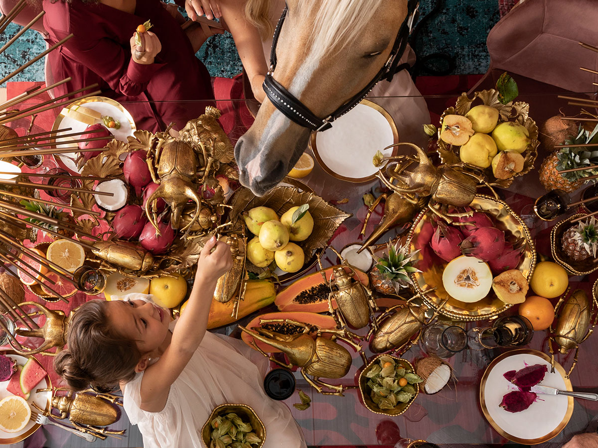 | Todos los accesorios |.
