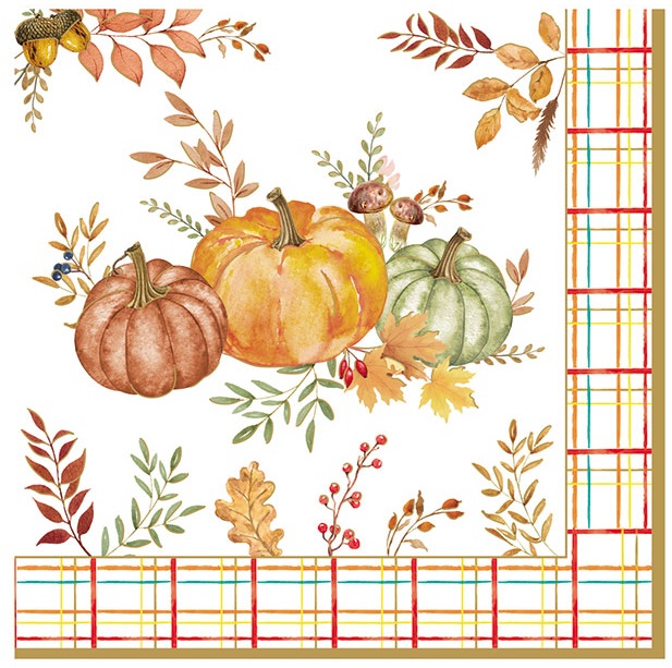 Салфетки Harvest – изображение-1