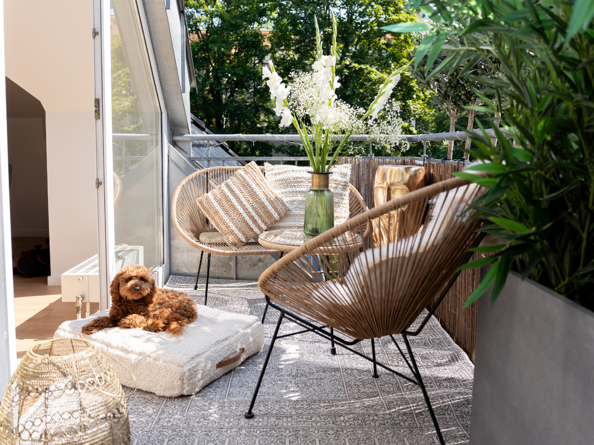 Camas y muebles para perros .