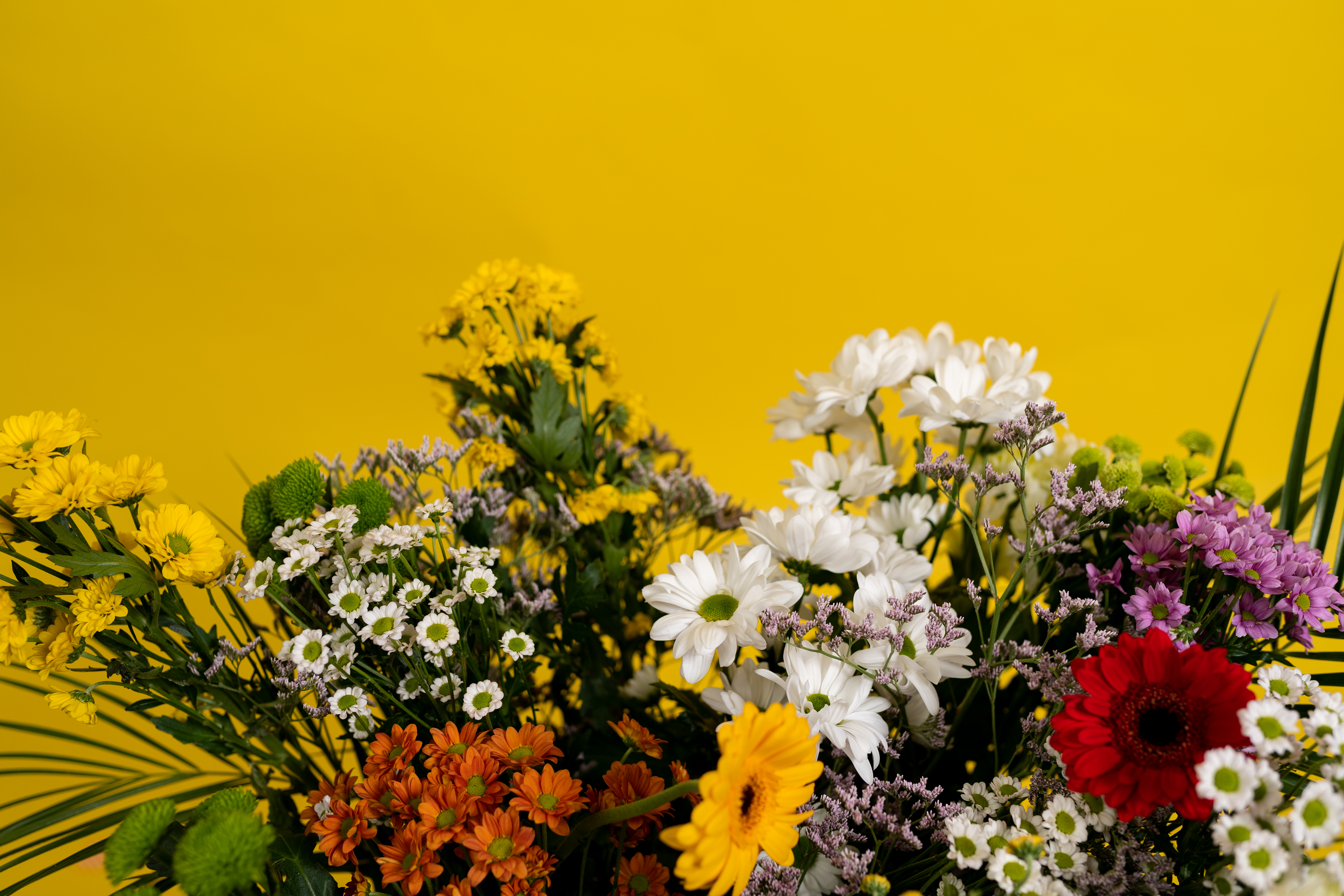 Dovanos Mamos dienos proga.