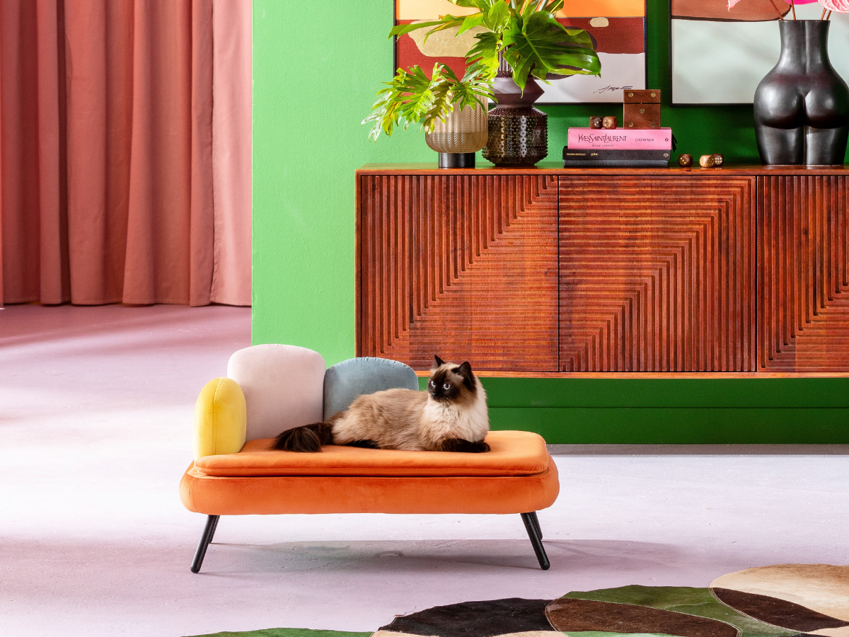 <strong>RASPRODAJA MACA</strong>.