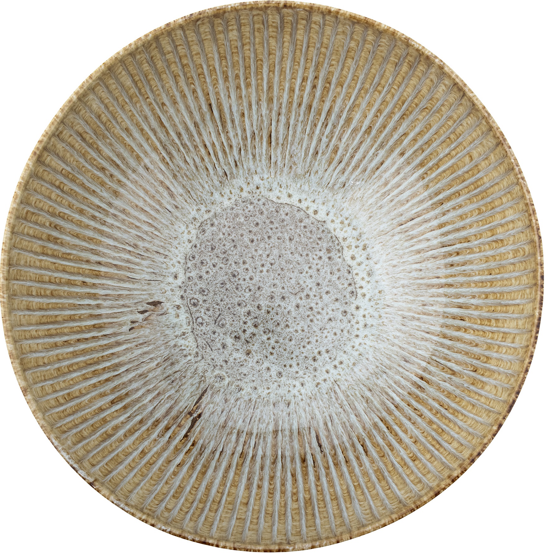 Miska sałatkowa naturalna z kamionki 27x9 cm – obraz-1