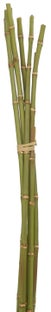 Bambus dekoracyjny 72 cm – obraz-1