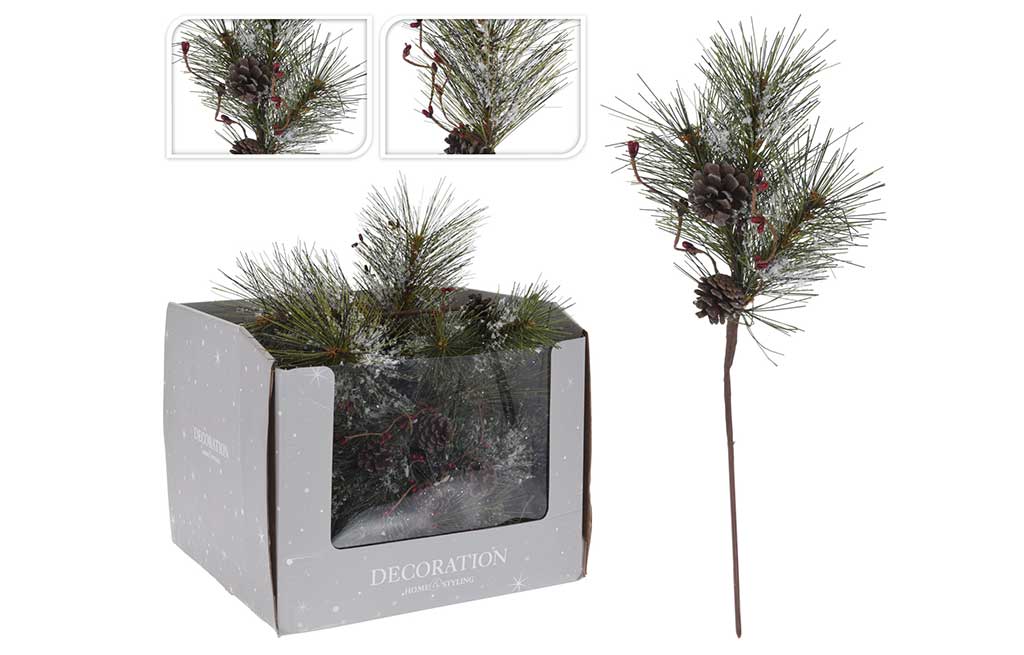 Борово клонче с плодове – изображение-1