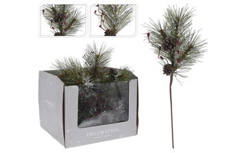 Борово клонче с плодове – изображение-1