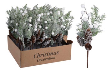 Борово клонче с шишарки – изображение-1