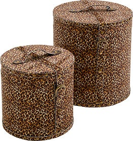Caja Animal Salvaje Leo (Juego de 2) – Imagen-1.