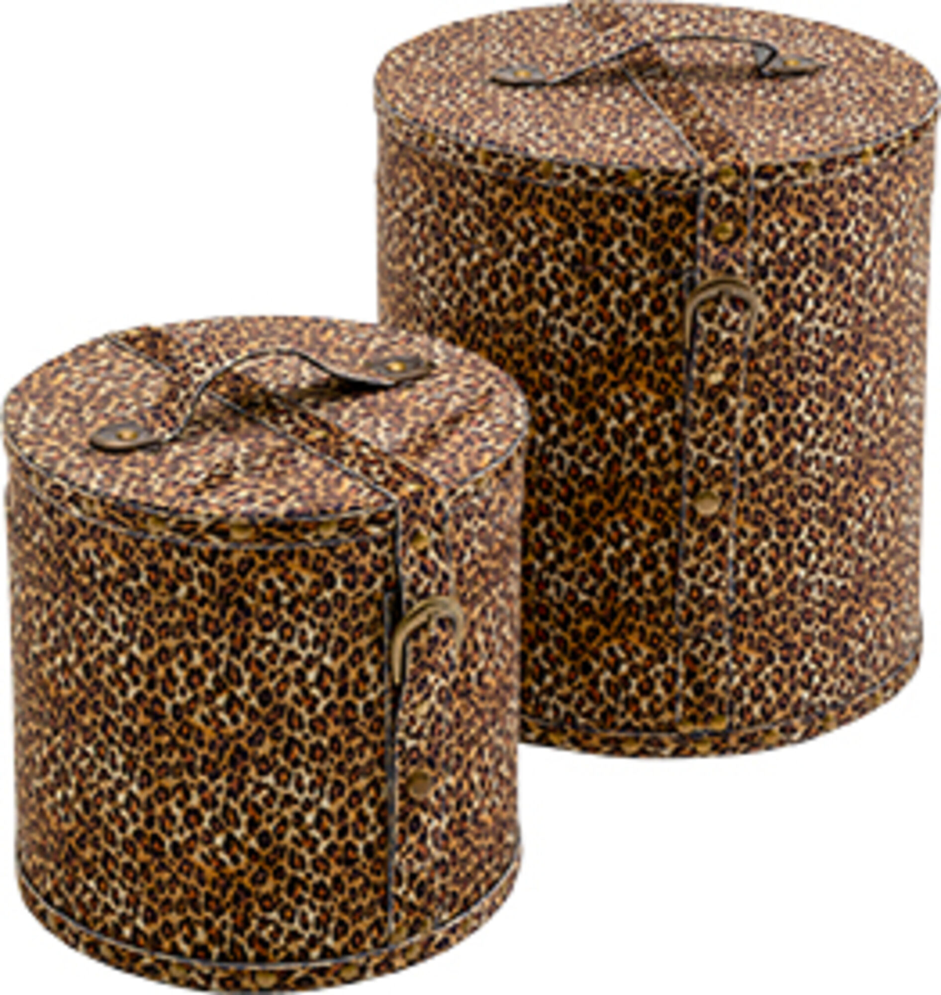 Kutija Wild Animal Leo (2/Set) – slika-1.