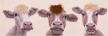 Slika na platnu Cows Hair 150x50cm – slika-1.