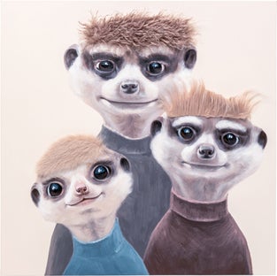 Slika na platnu Meerkat Hair 80x80cm – slika-1.