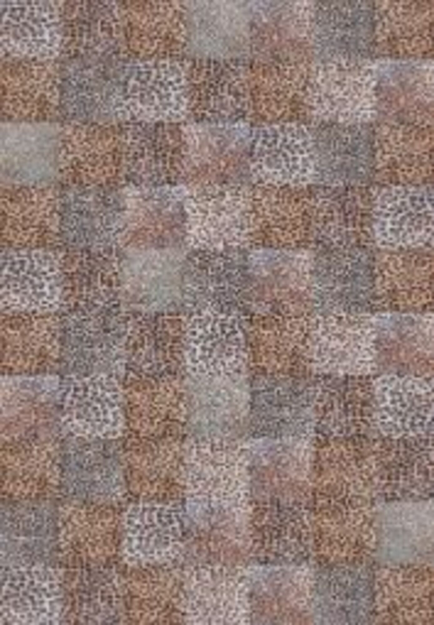 Kilimas Leo Square 170x240cm – paveikslėlis-1.