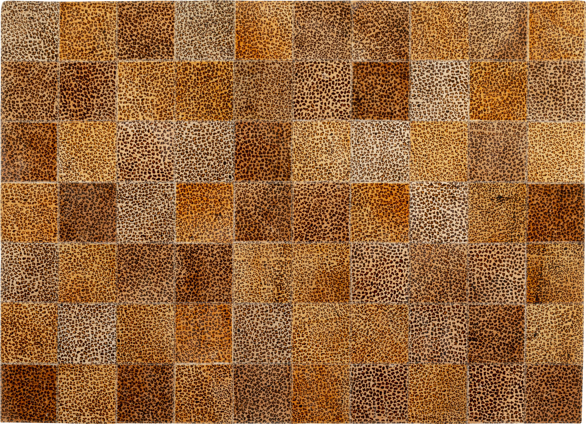 Alfombra Leo Square 200x300cm – Imagen-1.