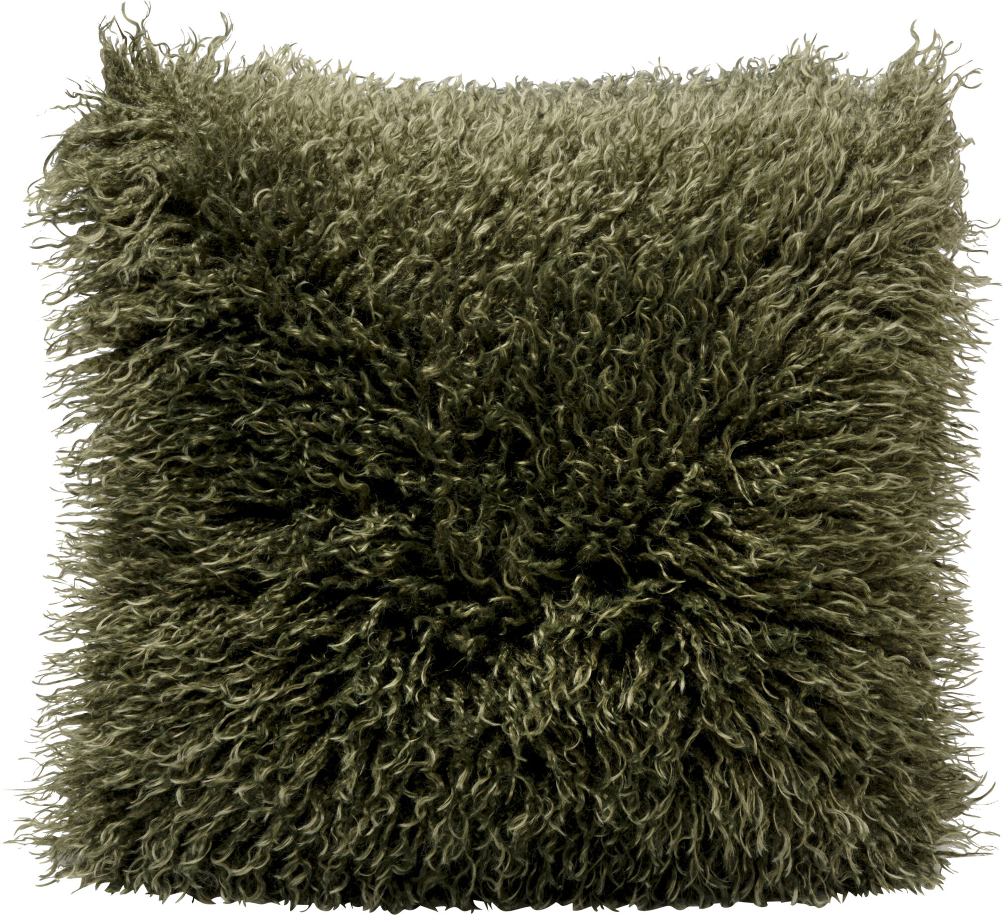 Pagalvėlė Gizzly Grün 45x45cm – paveikslėlis-1.