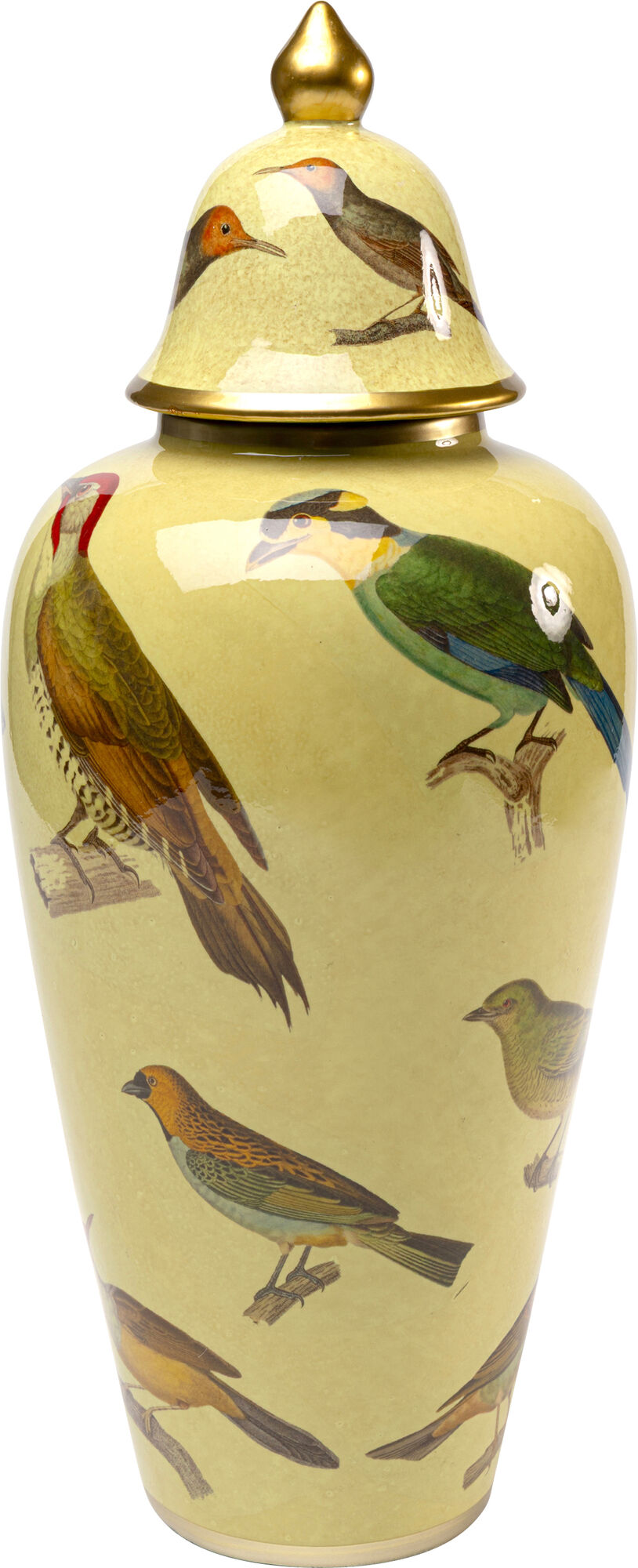 Tarro decorativo con forma de pluma de 45 cm – Imagen-1.