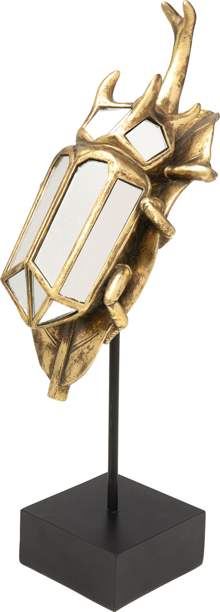 Dekoracja Beetle Mirror 45cm – obraz-1