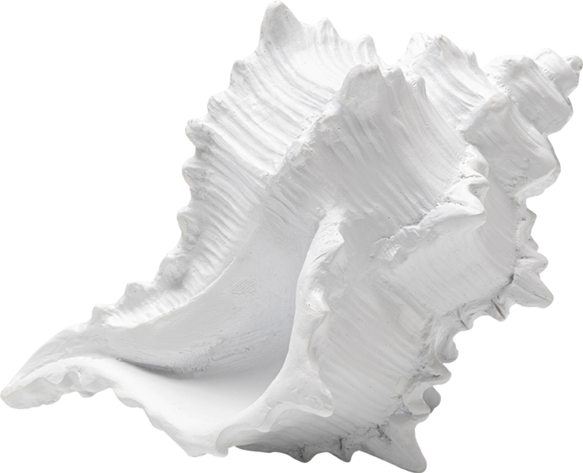 Figurka dekoracyjna Conch 19cm – obraz-1
