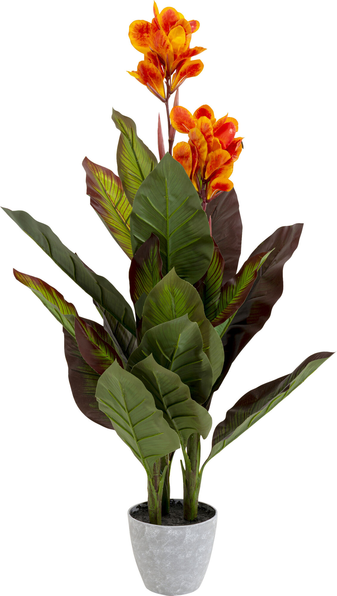 Planta deco Canna Lily 115cm – Imagen-1.