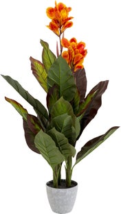 Ukrasna biljka Canna Lily 115cm – slika-1.