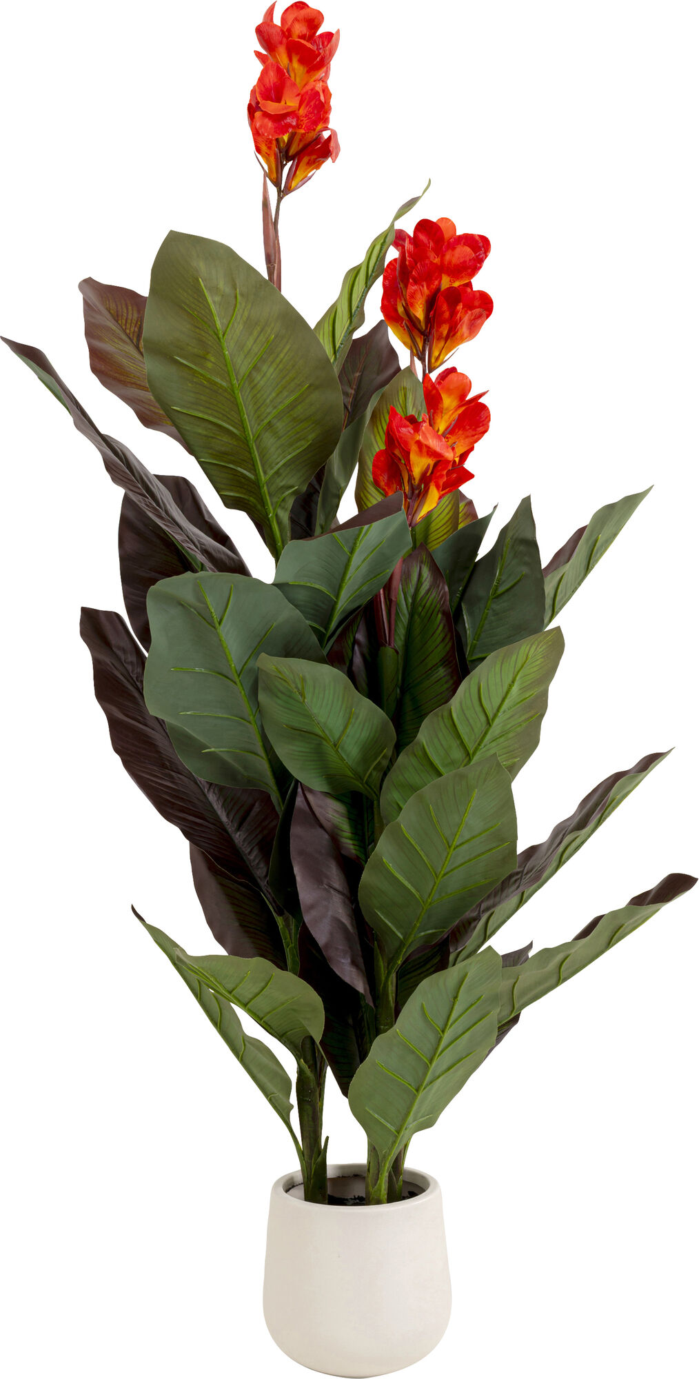 Planta deco Canna Lily 165cm – Imagen-1.