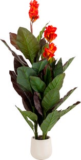 Planta decorativa Canna Lily 165 cm – Imagen-1.