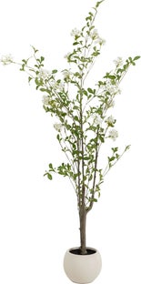 Ukrasni objekt Plumbago Tree 152cm – slika-1.