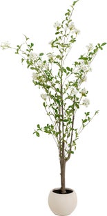 Plumbago Fa Dekorációs Növény 152cm – kép-1.