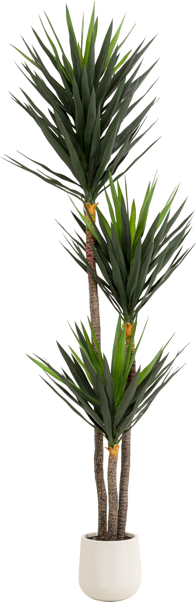 Planta deco Yucca 250cm – Imagen-1.