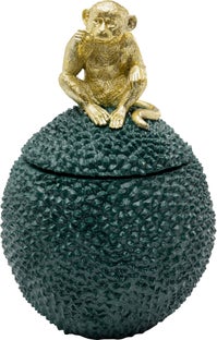 Scatola decorativa Jackfruit Monkey 30cm – immagine-1.