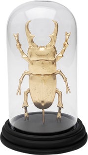 Skulptur Hercules Beetle - Skalbagge, 20 cm – bild-1.