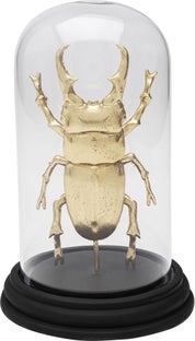 Obiekt dekoracyjny Bell Jar Hercules Beetle 20cm – obraz-1