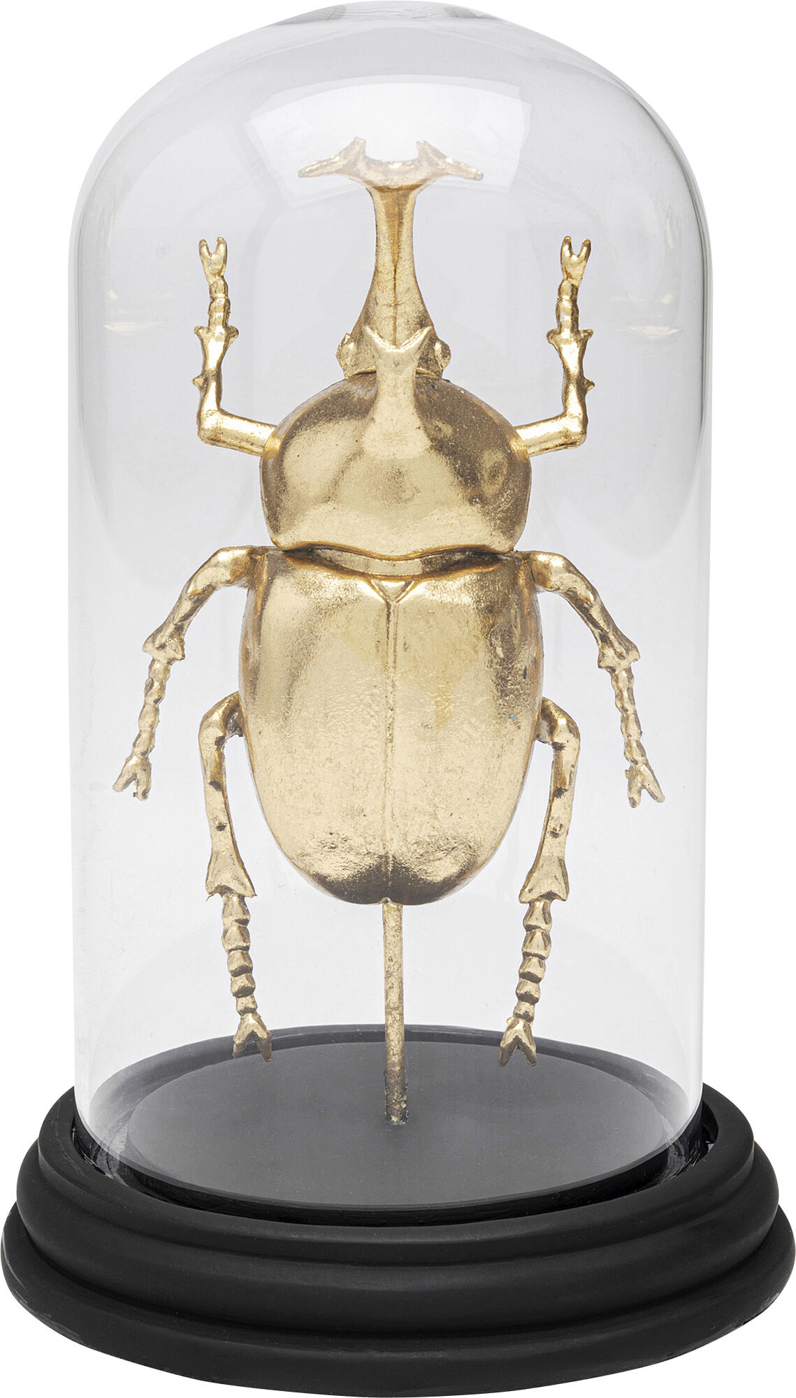 Objeto decorativo Stag Beetle 20cm – Imagen-1.