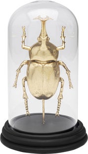 Obiekt dekoracyjny Bell Jar Stag Beetle 20cm – obraz-1