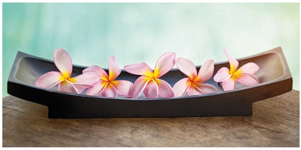 Деко-панел MDF Beauties in Pink 80/39 – изображение-1