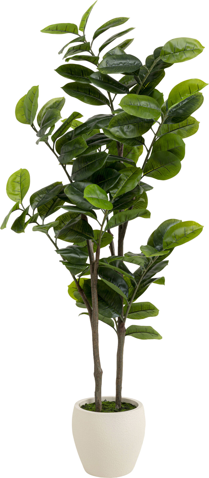 Planta deco Balata Tree 162cm – Imagen-1.