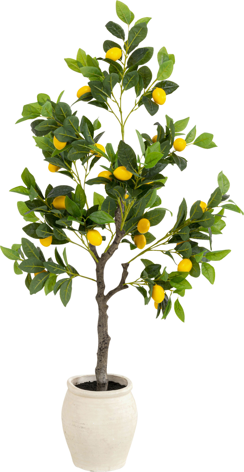 Planta deco Lemon Tree 120cm – Imagen-1.