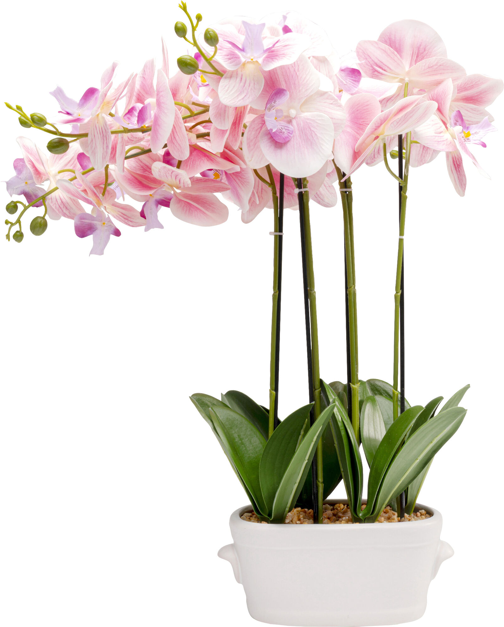 Planta deco Orchid Pot 55cm – Imagen-1.