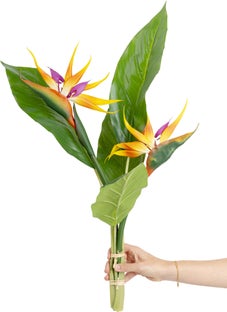 Ukrasna biljka Paradise Bird RealTouch – slika-1.