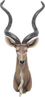 Dekoracja ścienna brązowa antylopa 41x100 cm – obraz-1