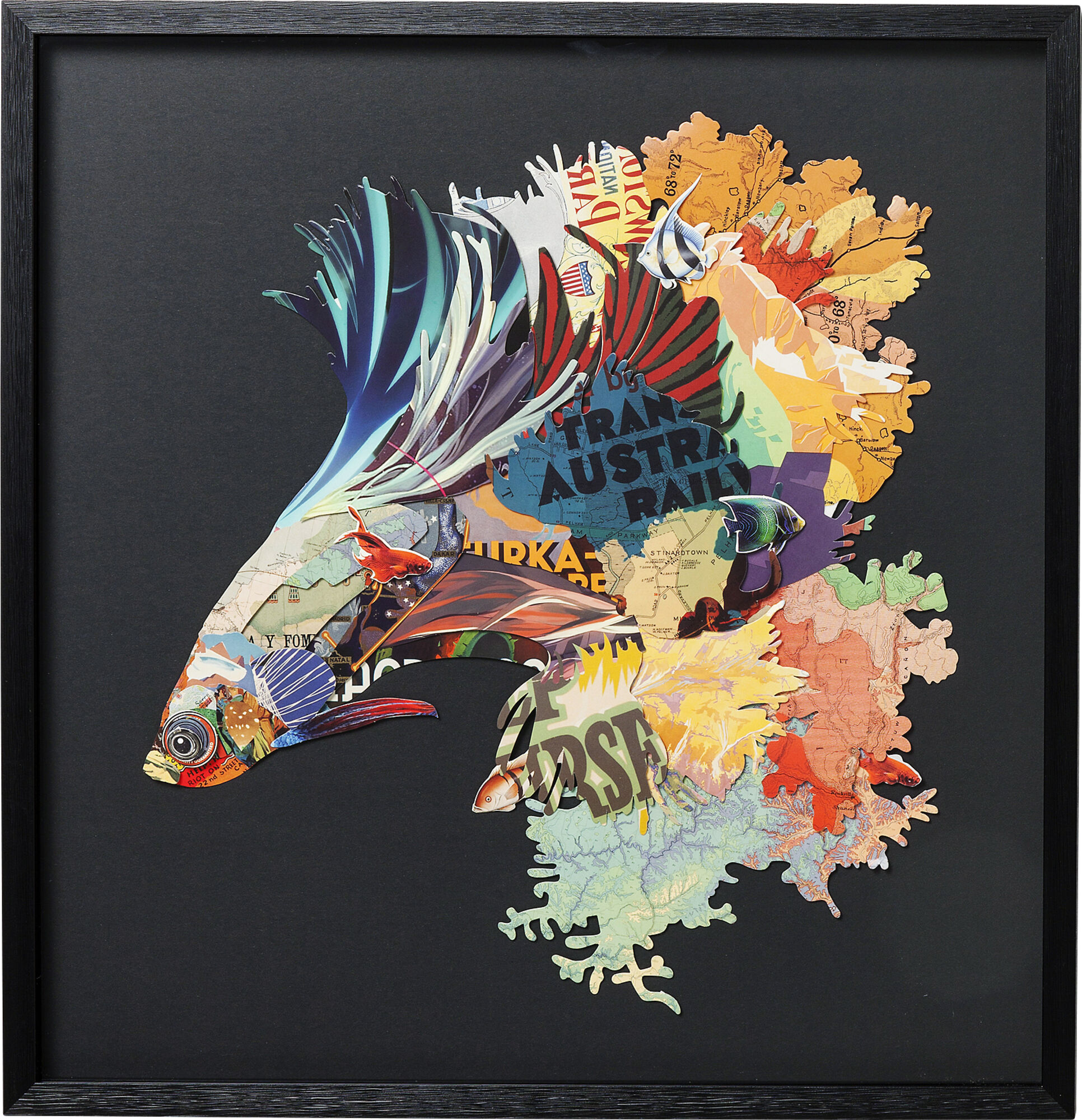 Tablou cu rama Art Betta Fish Colore Left 65x65cm – imagine-1.