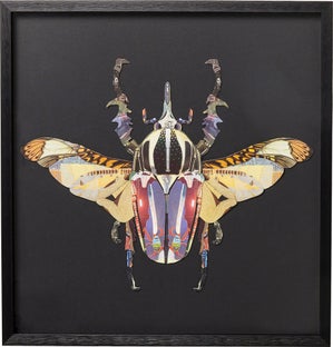 Tablou cu rama Art Beetle 60x60cm – imagine-1.