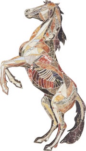 Dekoracja ścienna Crazy Horse 98x160 cm – grafika-1.