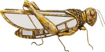 Стенна декорация Grasshopper Mirror – изображение-1.