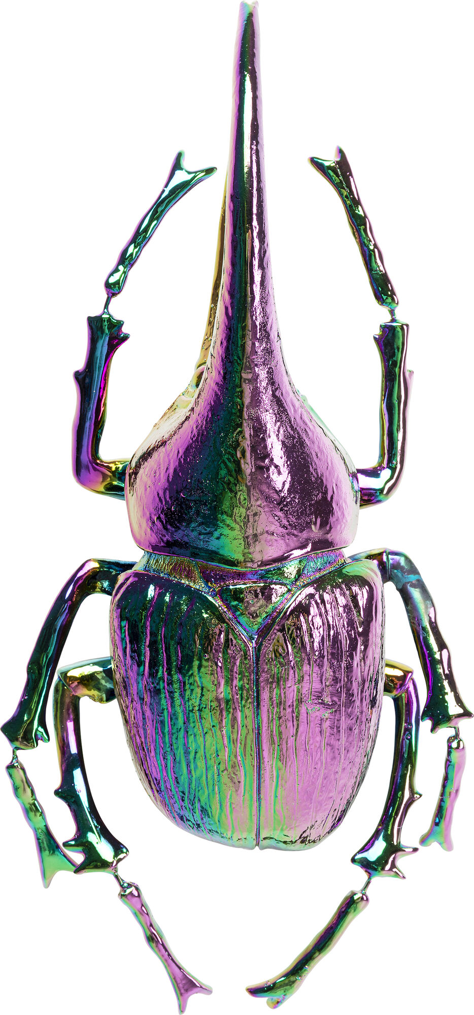 Dekoracja ścienna Herkules Beetle 27x41 cm kolorowa – obraz-1