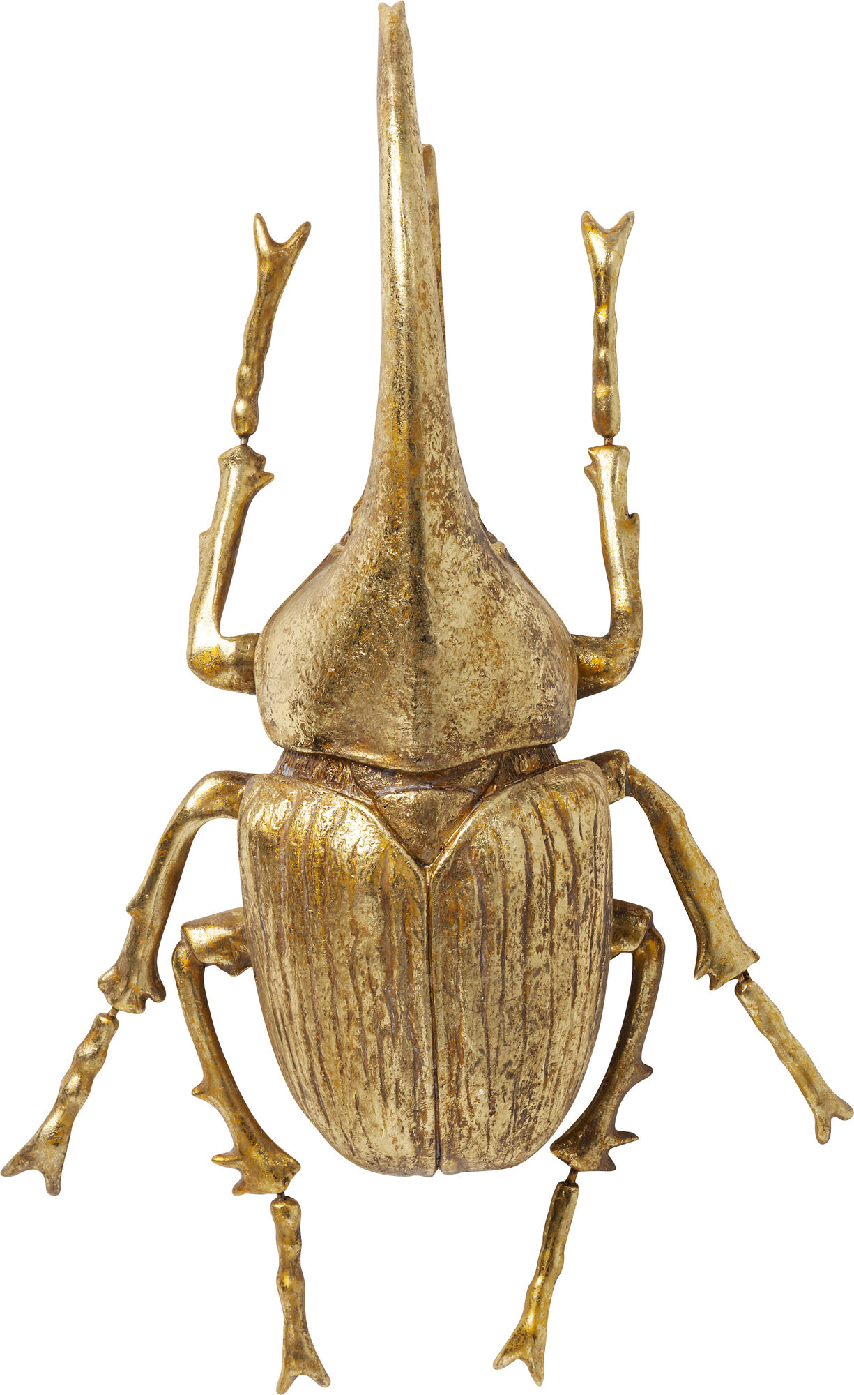Decorazione da parete Herkules Beetle oro – immagine-1.