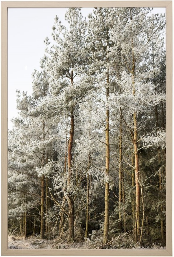 Dekoracja ścienna Hoarfrost MDF 42x62 cm – obraz-1