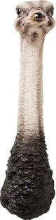 Ostrich seinäkoriste – kuva-1.
