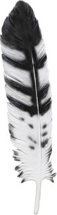 Decoratiune de perete Quill 77x18 cm – imagine-1.