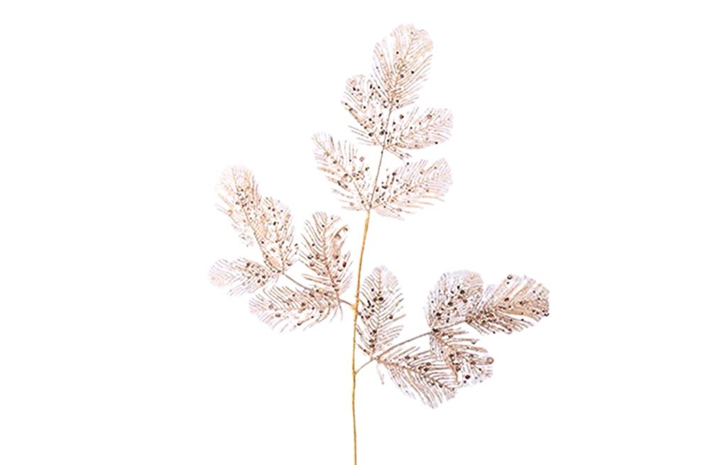 Декоративна клонка – изображение-1