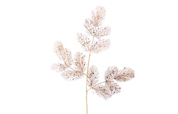 Декоративна клонка – изображение-1